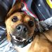 Lucas Badger - Facebook