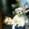 lucas - @lucas.baierrrr - TikTok
