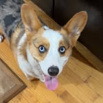Lucas Bower - @lucasbower78 - Instagram