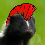 Lucas Bower - @_punk_skunk_ - Instagram
