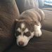 Lucas Bowles - Facebook
