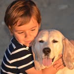 Lucas Valença Bowles - @lucasvalencabowles - Instagram