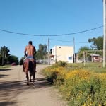 Lucas  brandon Márquez  brun - @lucasbrandonmarquez - Instagram