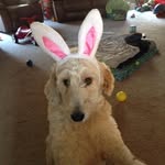 Maxwell Lucas Bratton - @max_bratton - Instagram