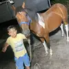 lucas cabrera - @lucas.cabrera.59 - TikTok