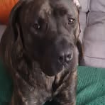 Lucas Clarkson - Facebook