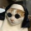 lucacorrell - @lucacorrell - TikTok