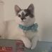 Lucas Coy - Facebook
