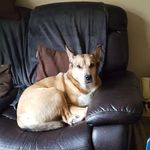Lucas Croft - @lucas.croft.338 - Instagram