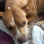 Lucas Dickerson - @lucasd5447 - Instagram