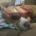 Lucas Dickerson - @lucasd547 - Instagram