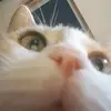 lucas_Dillon - @lucas_dillon - TikTok