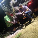 Lucas Doherty - Facebook
