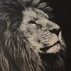 lucasdoherty1592 - @lucasdoherty1592 - TikTok