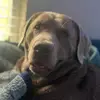 Lucas - @lucas33dooley - TikTok