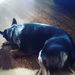 lucas Durham - @winnythdogg - Instagram