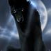 Lucas Dyer - Facebook