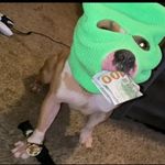 Lucas Dyer - @gang_shit_bitch123456 - Instagram