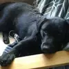 lucasdyer084 - @lucasdyer084 - TikTok