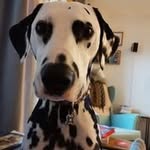 Lucas Earl Pluto Finlayson - @lucasearlpluto - Instagram