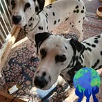 Lucas Earl Pluto Finlayson - Facebook