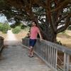 lucas_eberle7 - @lucas_eberle7 - TikTok