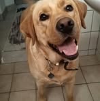 Lucas Eberle - Facebook