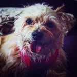 Lucas Ebert - @lucyevelyn1605984 - Instagram