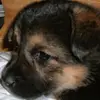 lucaseckstein122 - @lucaseckstein122 - TikTok
