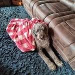 Lucas Fields - @lucasfields57 - Instagram