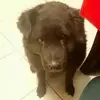 Lucas Galloway - @lucasgalloway751 - TikTok