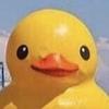 TwirlyRoom3 - @lucas.gamble3 - TikTok