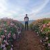 Luke Gower - Facebook