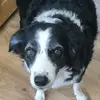Lucas Gregory - @lucas.gregory21 - TikTok