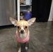 Lucas Hagerty - Facebook