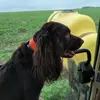 Lucas Haney - @pricefarms8330 - TikTok