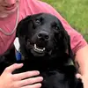 Lucas_Hardy7 - @lucas_hardy7 - TikTok