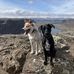 Lucas Harrison - Facebook