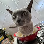 lucas - @lucasheathcote844 - Instagram