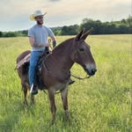 Lucas Henderson - @lucas_wants_it_all - Instagram