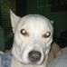 Lucas Henderson - Facebook