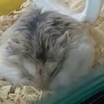 lucasheppo123 - @l.heppo23 - Instagram