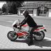 Lucas Herrmann - Facebook