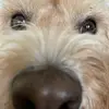 lucas - @lucas..hogan - TikTok
