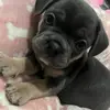 Lucas_hooper15 - @hooper104875 - TikTok