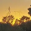 Lucas Howell - @lucas.howell5 - TikTok