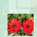Lucas Hubbard - Facebook