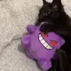 Lucas - @lucas..hyde - TikTok