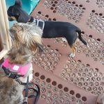 lucas - @lucas.inman2010 - Instagram