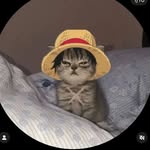 Lucas Keith - @lucas_spam.v1 - Instagram